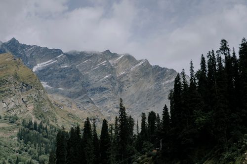 Free Scenic view of mountainous terrain with lush pine forest under cloudy skies. Stock Photo
