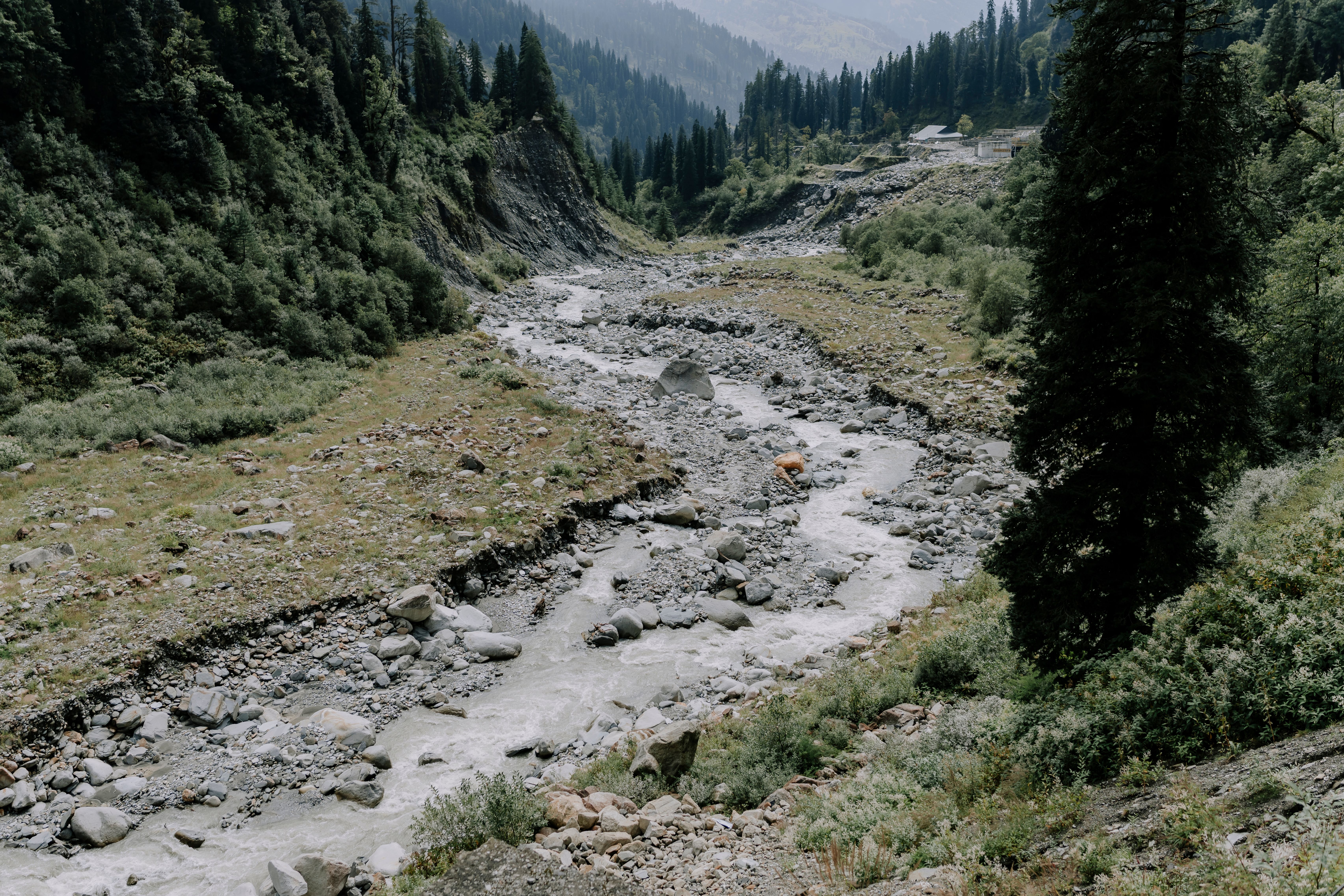 Serene mountain stream winds through lush green valley in tranquil natural setting.