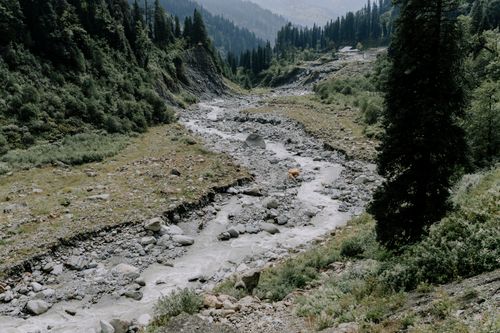 Free Serene mountain stream winds through lush green valley in tranquil natural setting. Stock Photo