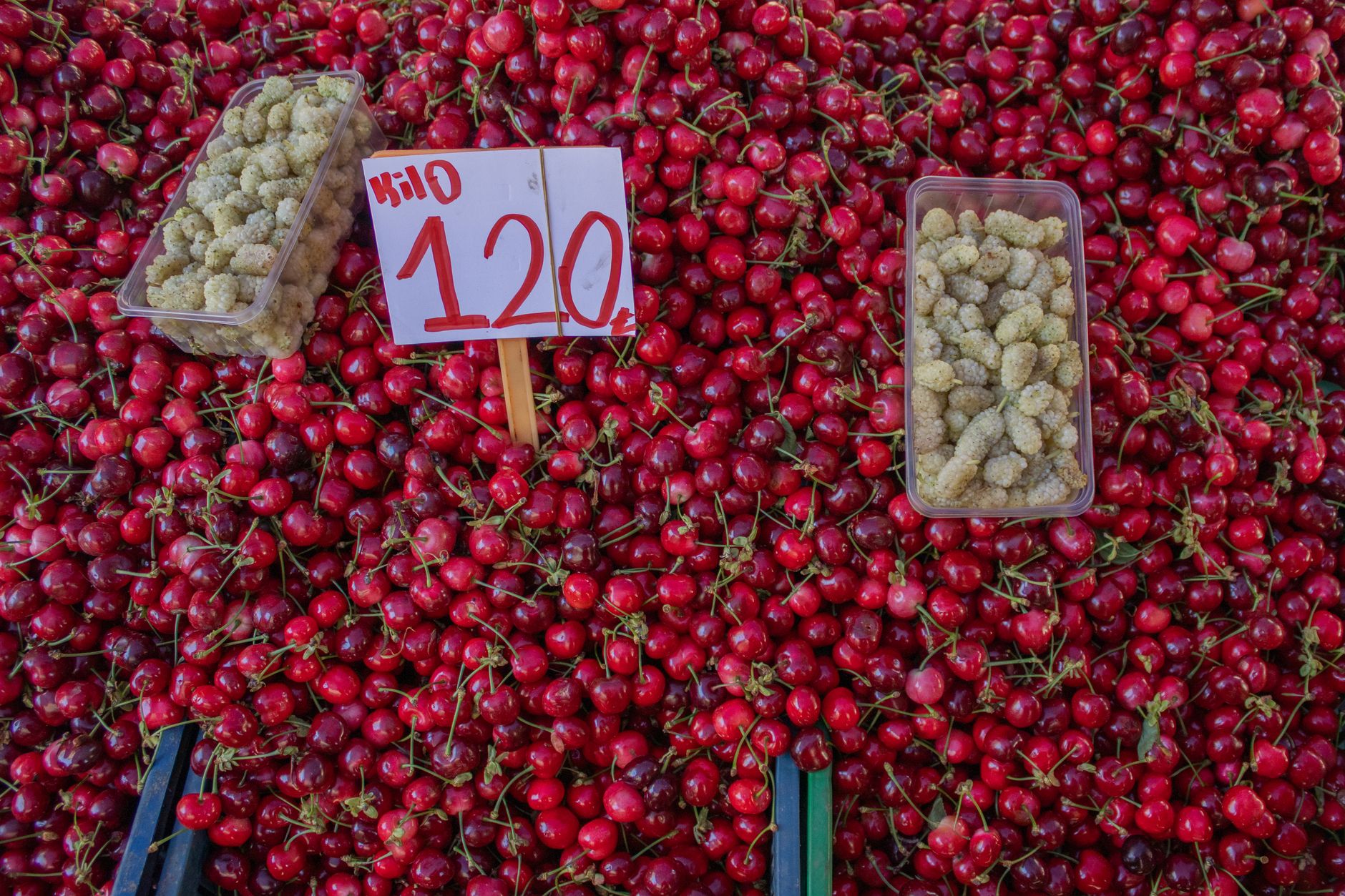 Why Retail Food Prices Are Unlikely to Decline Anytime Soon