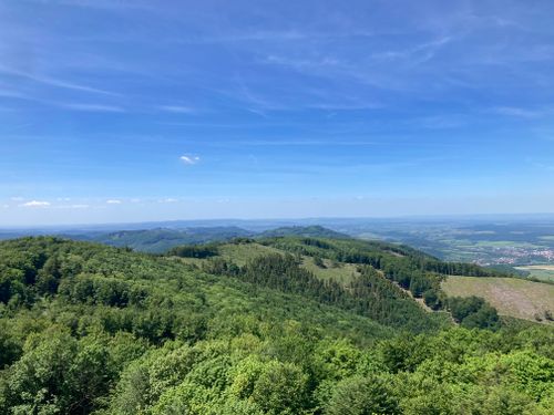 Free stock photo of landscape, nature, trees Stock Photo