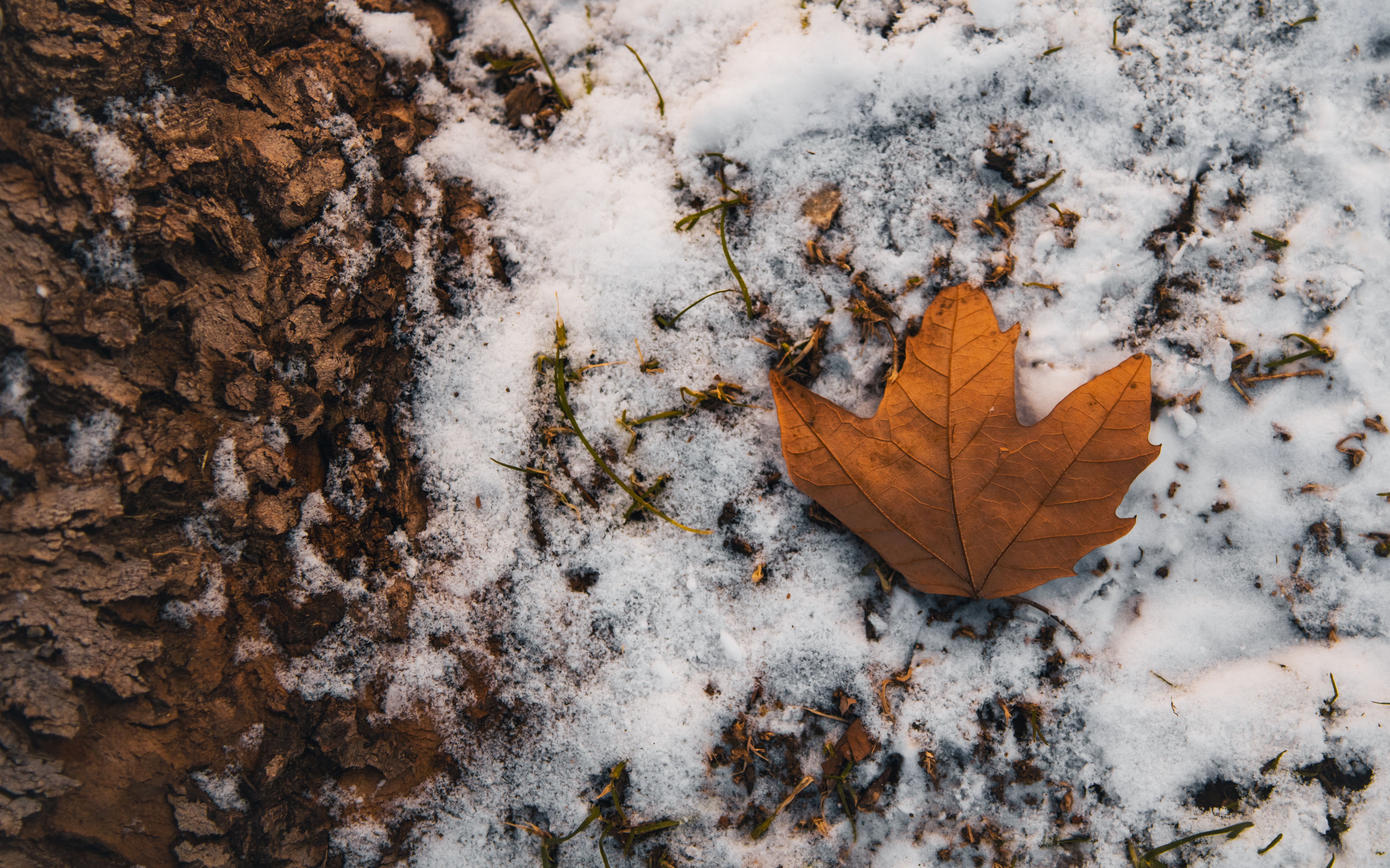Why this matters. How To Make Maple Taffy On Snow At Home In Canada visual guide