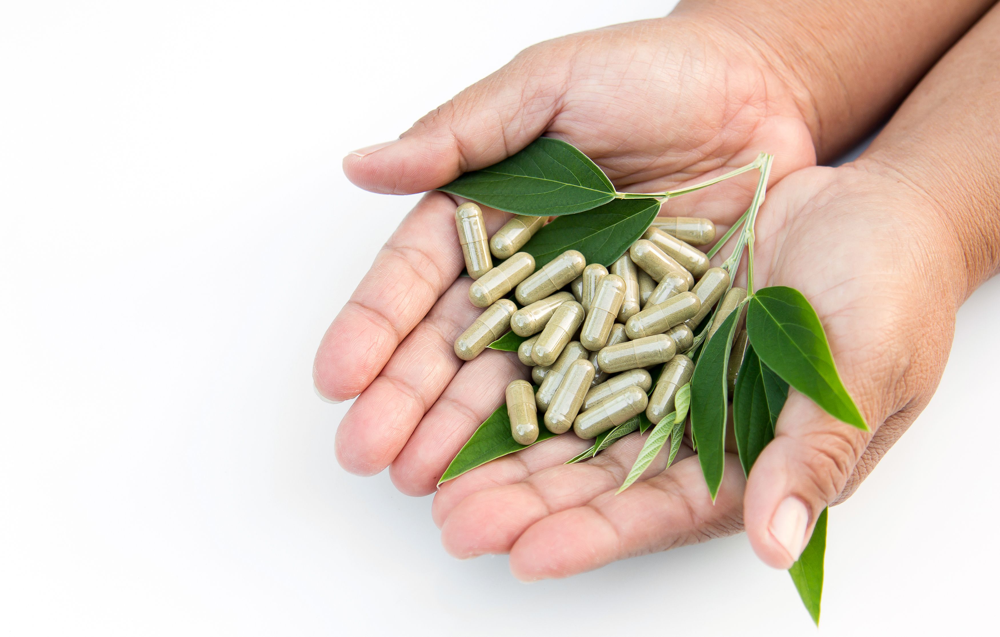 Hands holding green herbal supplement capsules alongside fresh leaves — representing natural Tongkat Ali supplement dosage