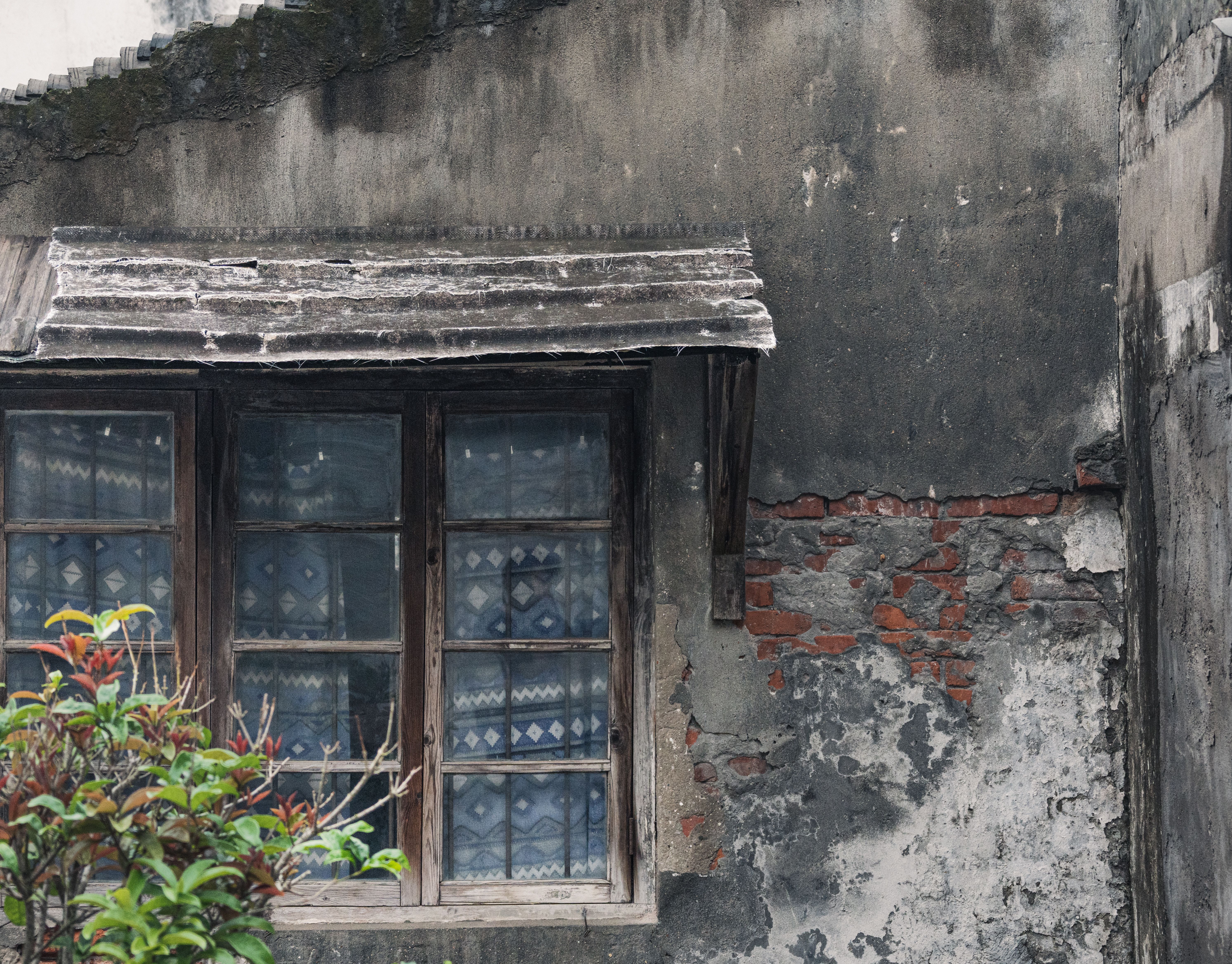 Masonry and Render Painting in Purley — walls rolled to an even, flat finish