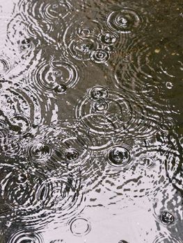 Artistic capture of rain ripples creating patterns on a wet surface.