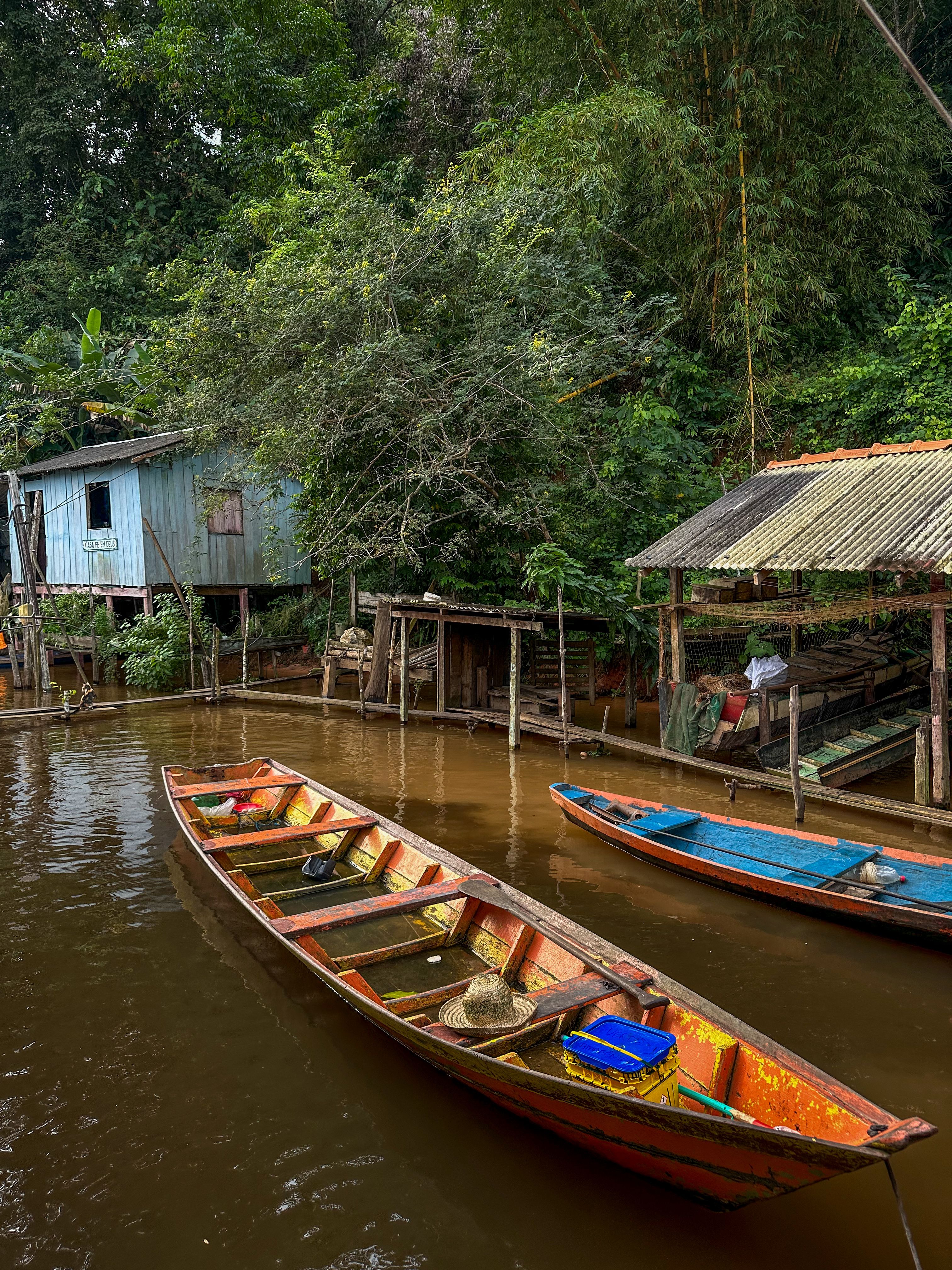 Foto de stock gratuita sobre amazonia, américa del sur, aventura ...
