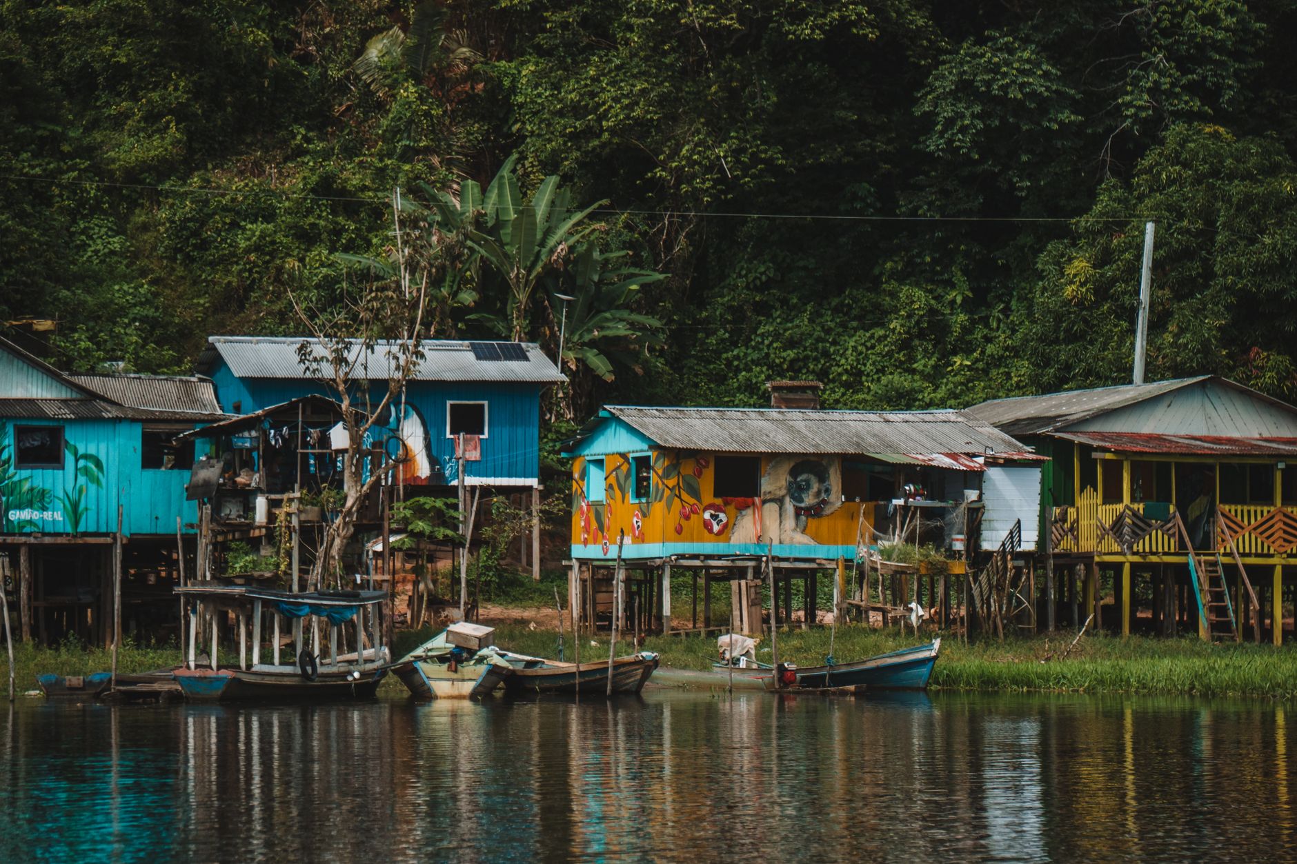 village floating stilt houses amazon river tropical community boat