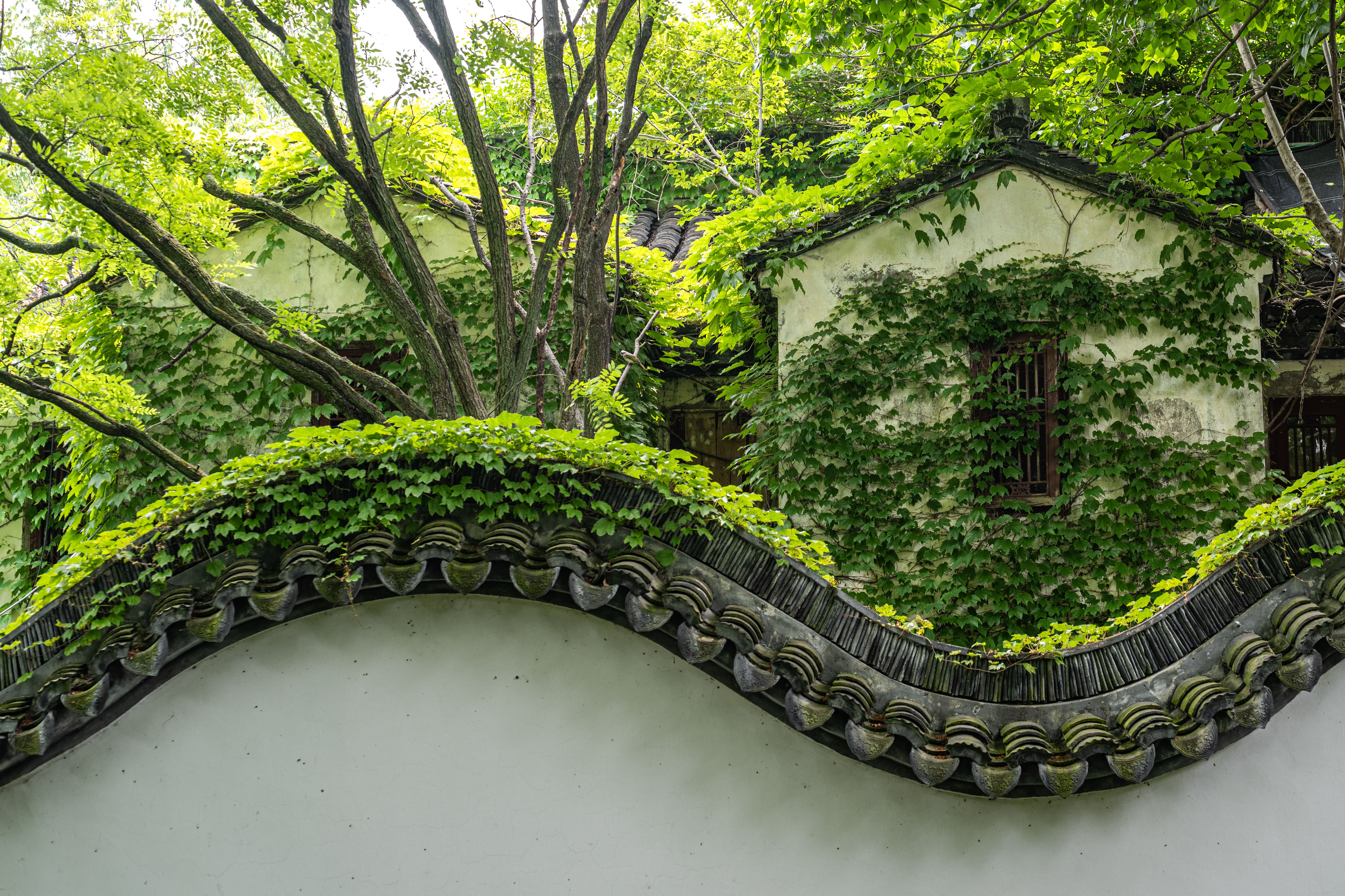 Suzhou Day Trip from Shanghai 2026: Gardens, Silk & Canal Walks in One Perfect Day