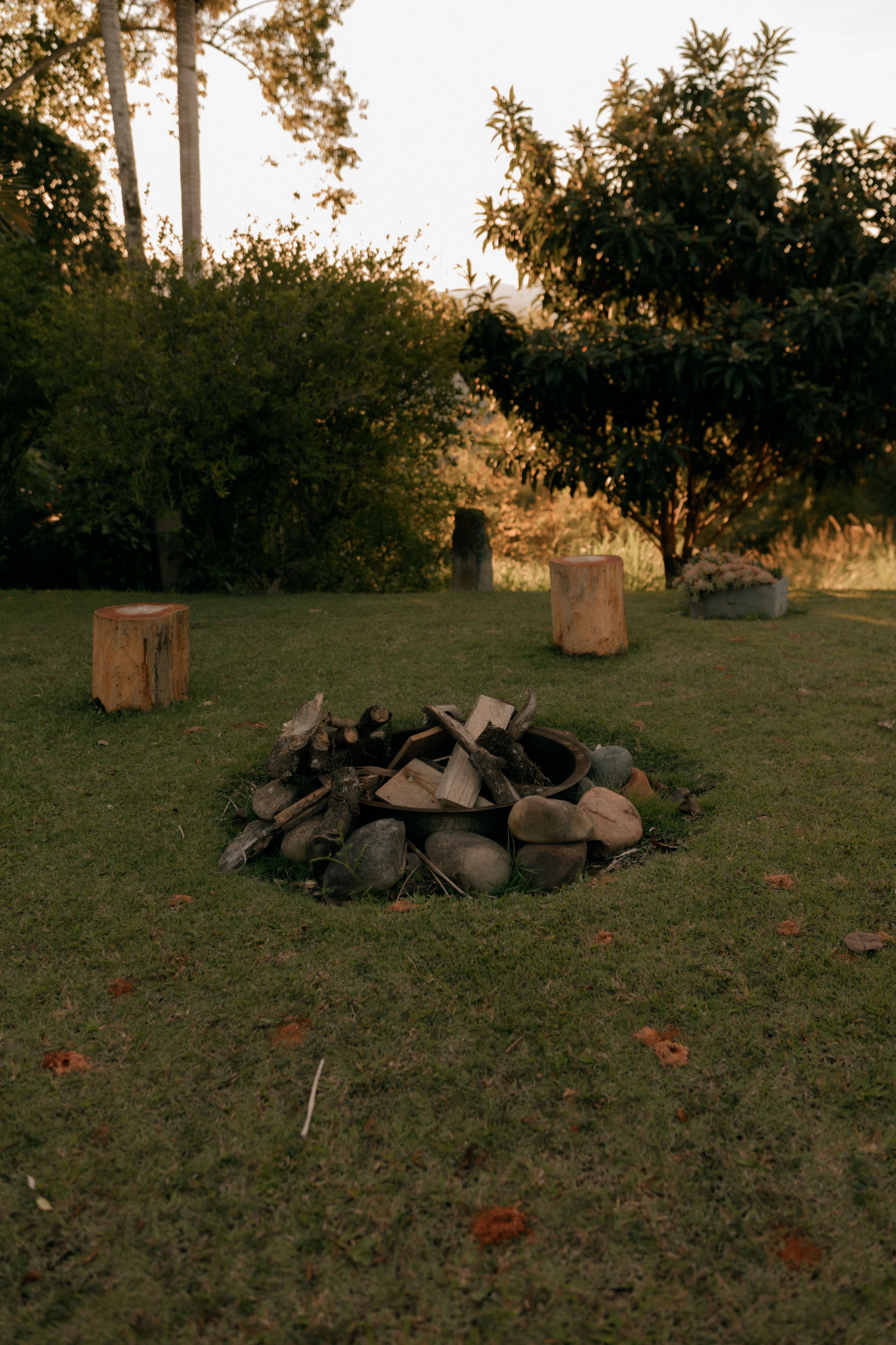 A rustic campfire setup in a forest clearing with logs for seating, surrounded by trees.