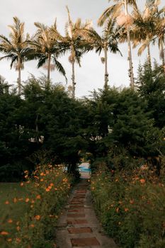 Peaceful stone pathway surrounded by lush greenery and tall palm trees under a soft sky. - Fotografer Sidoarjo