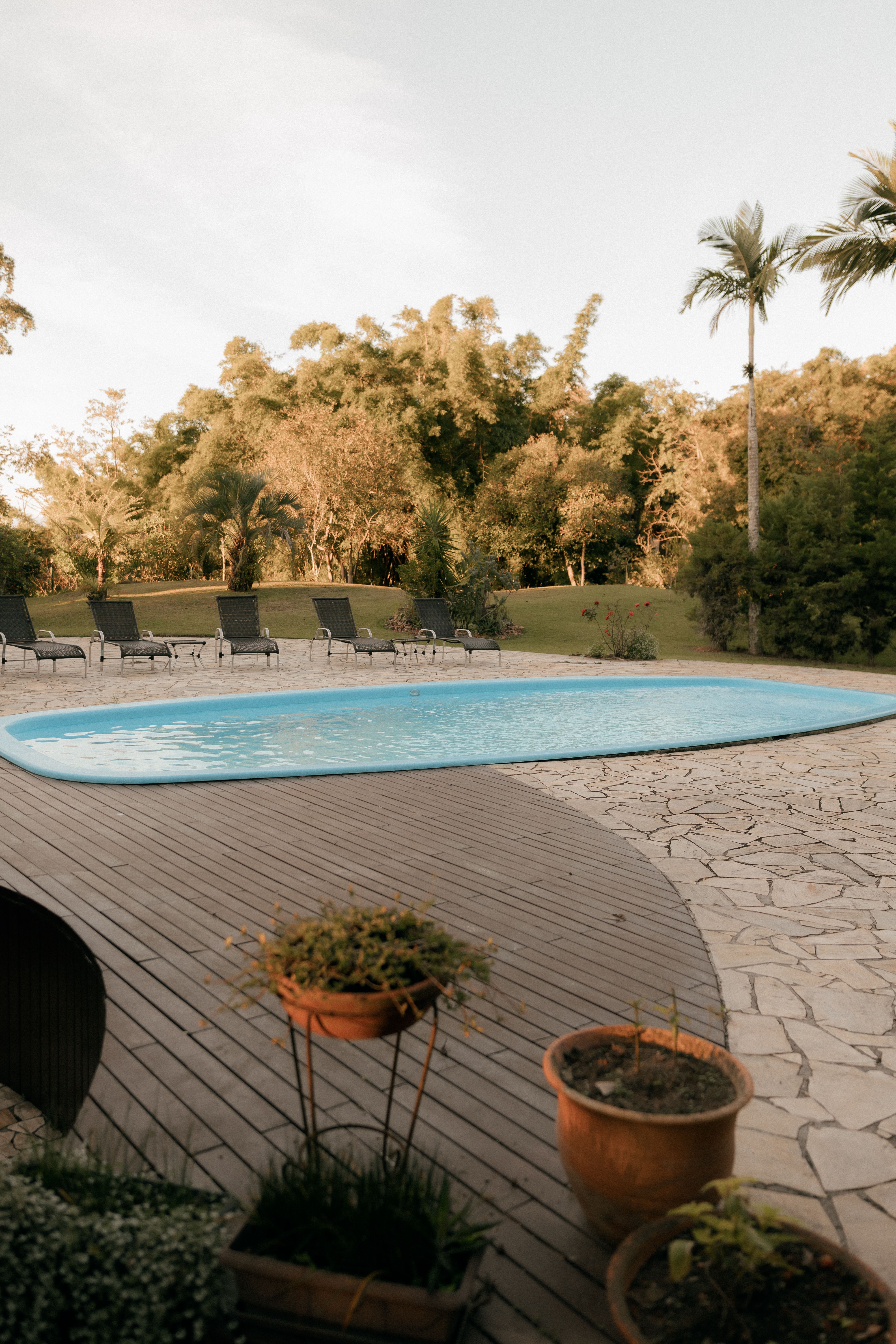 Sunny backyard pool with lounge seating