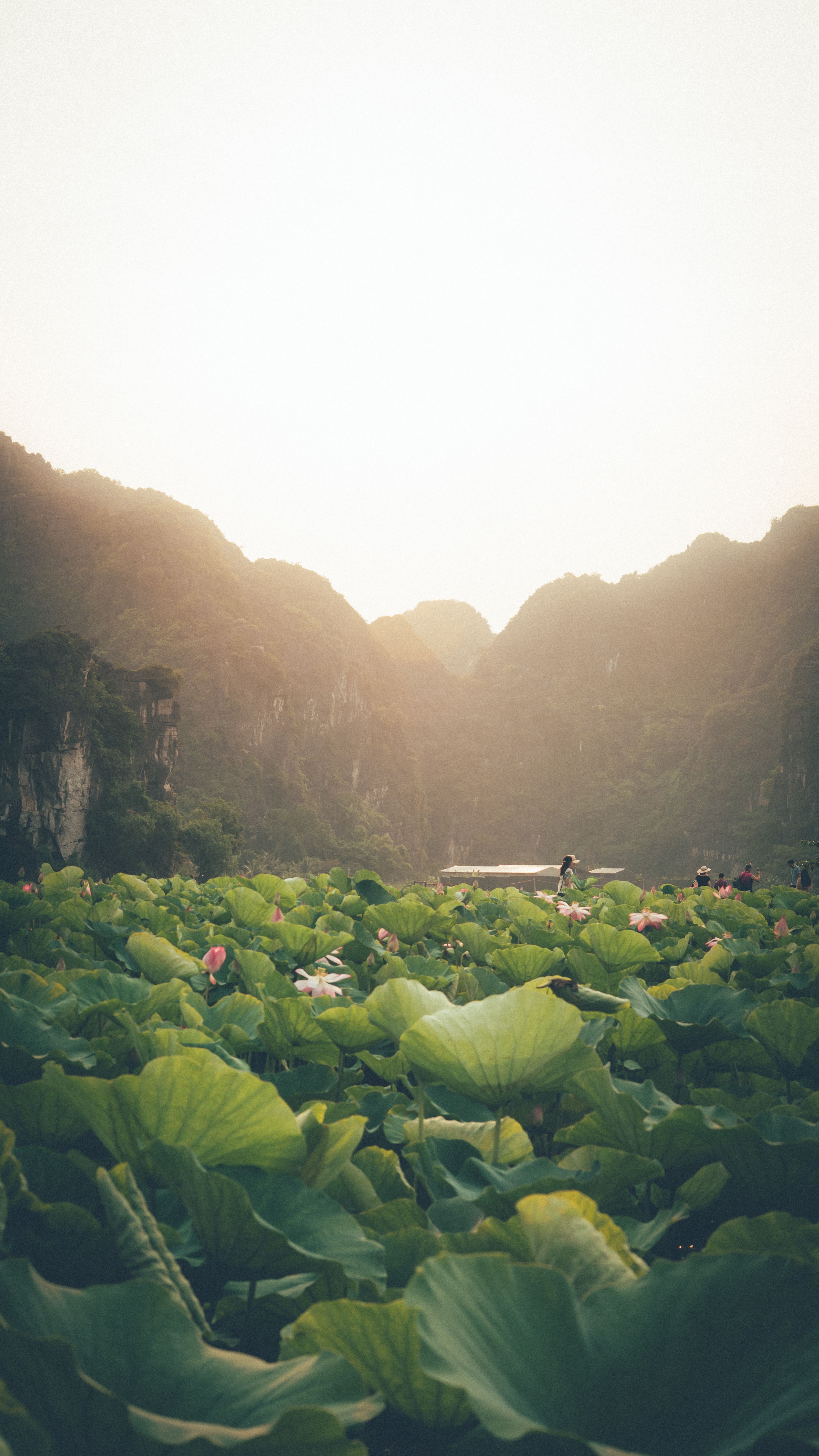 山水 自然 风景 Photos, Download The BEST Free 山水 自然 风景 Stock