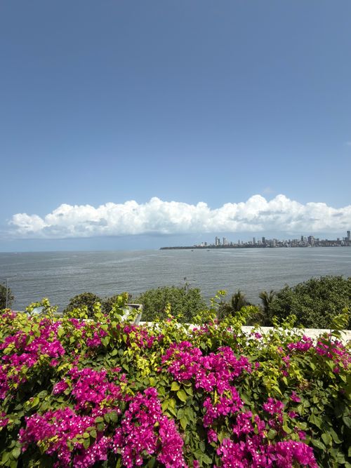Free Captivating view of Mumbai skyline over the Arabian Sea with vibrant bougainvillea in the foreground. Stock Photo