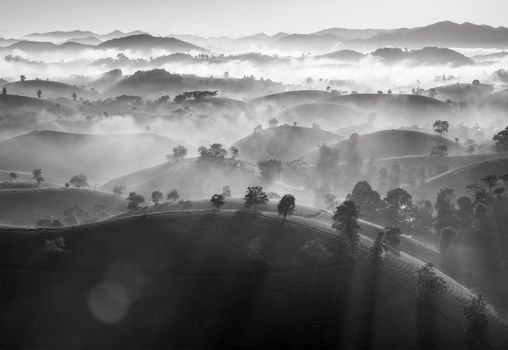 Captivating black and white landscape of misty hills and sun rays in Long Cốc, Phú Thọ, Vietnam.
