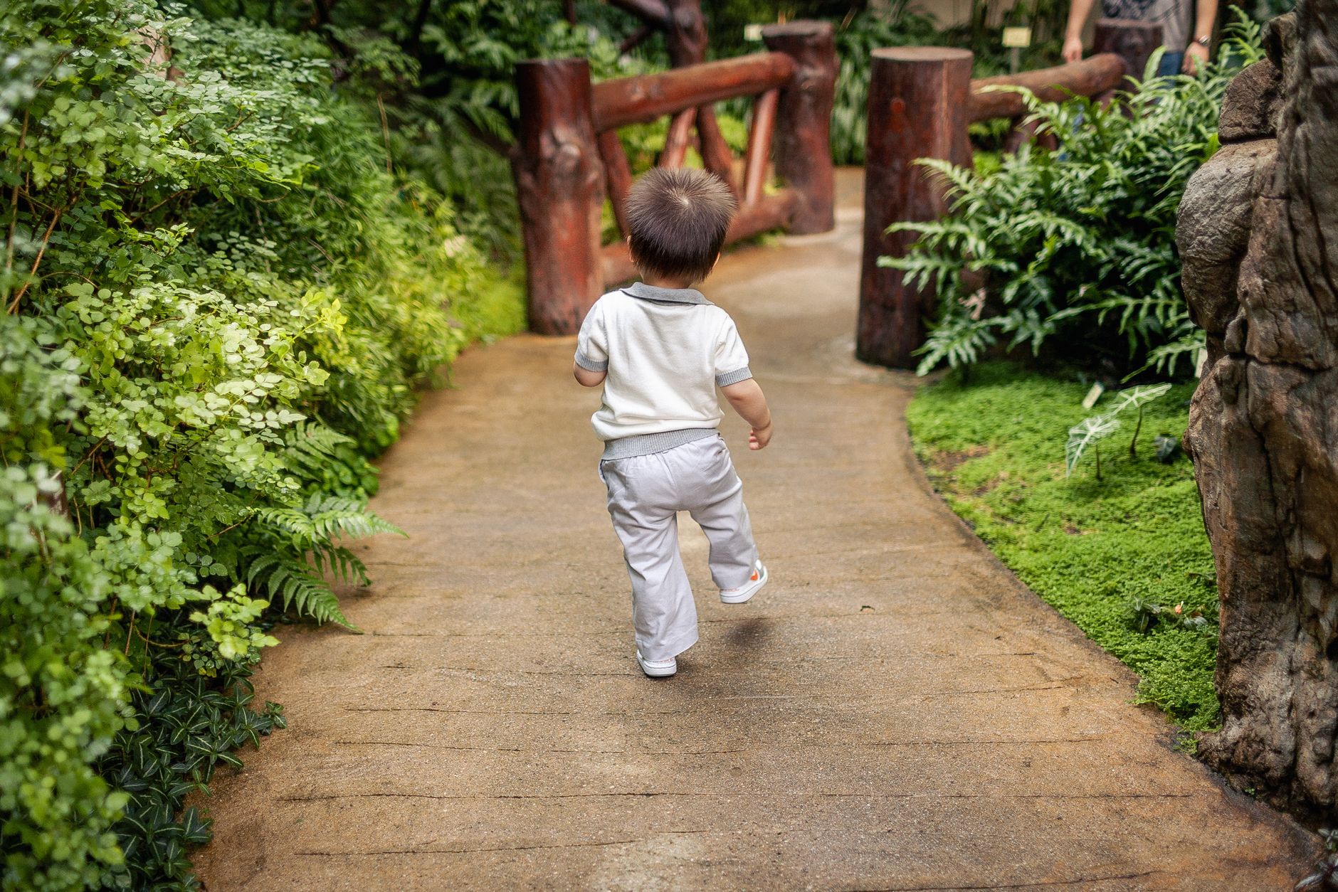 遊歩道を歩く子どもを後ろから見た様子