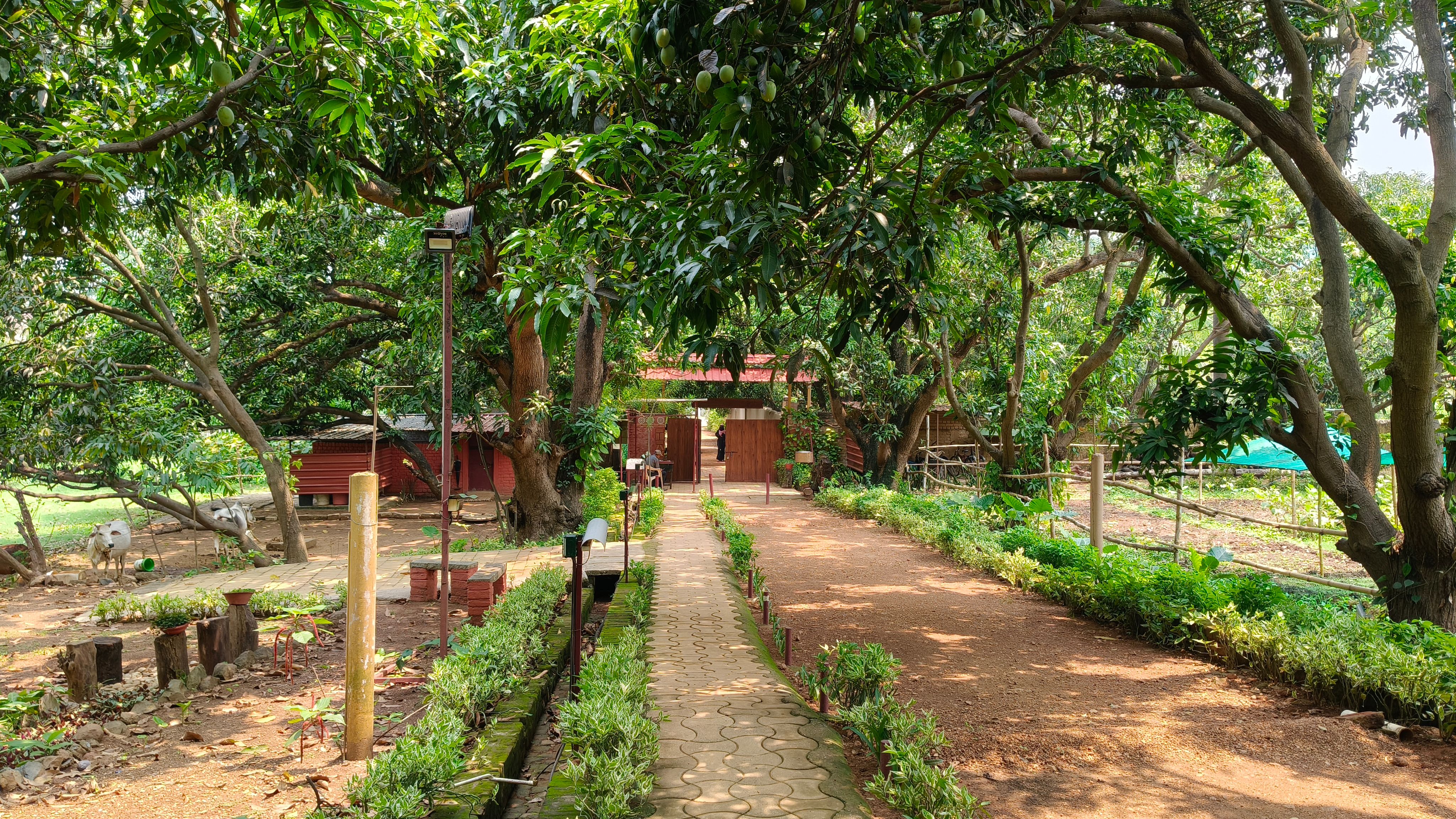 A serene pathway in a lush green garden with large trees and a rustic building in the background.