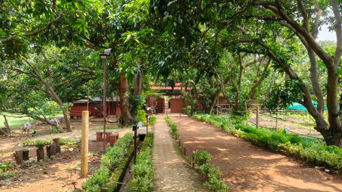 Free A serene pathway in a lush green garden with large trees and a rustic building in the background. Stock Photo
