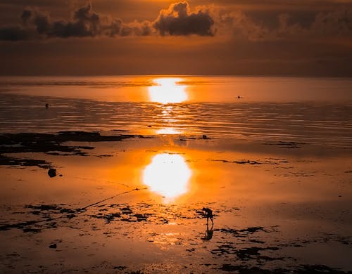 Free stock photo of beach, beach sunset, beautiful sunset