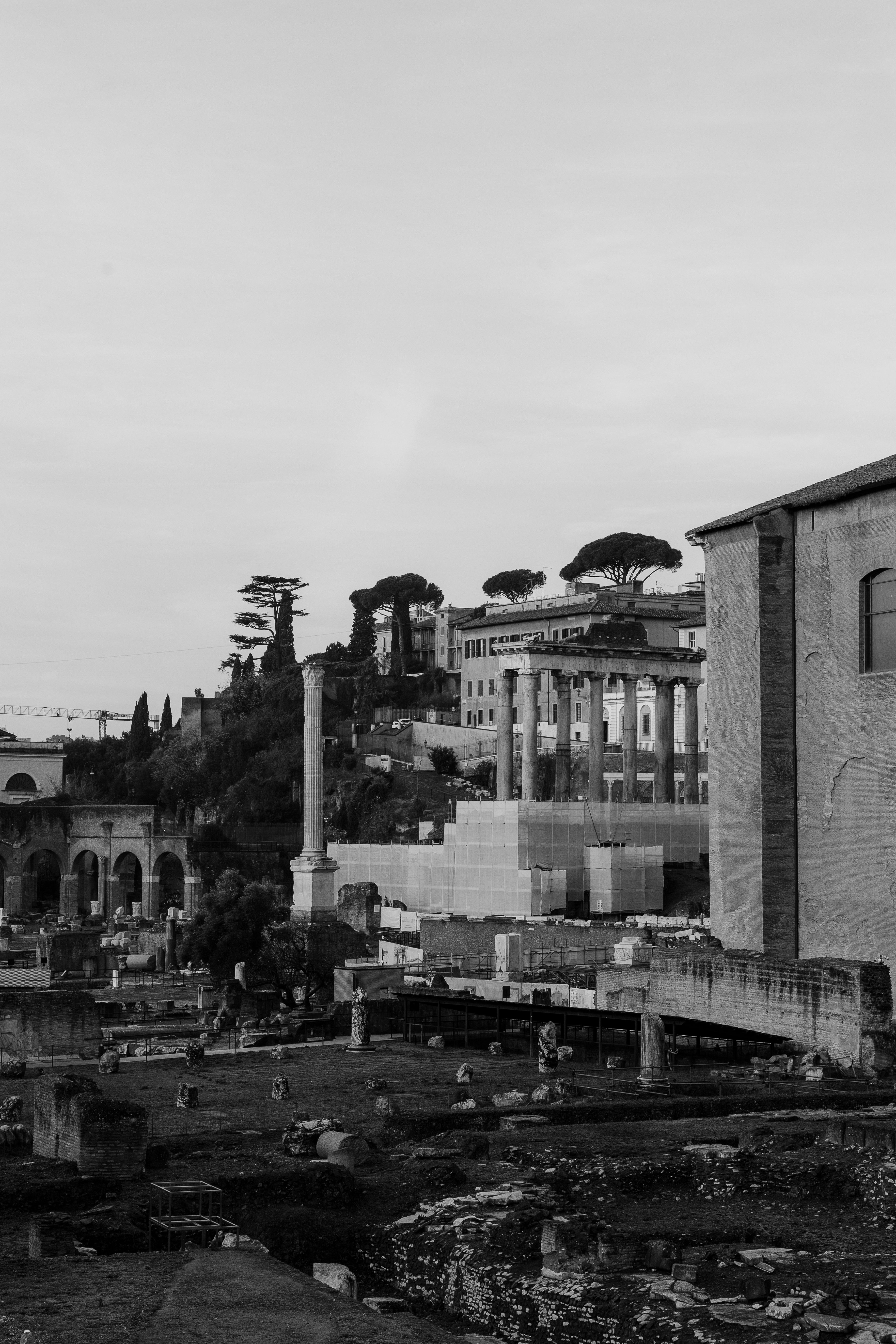 Black and white photo of the Roman Forum in Rome, capturing ancient architecture and historic ruins.