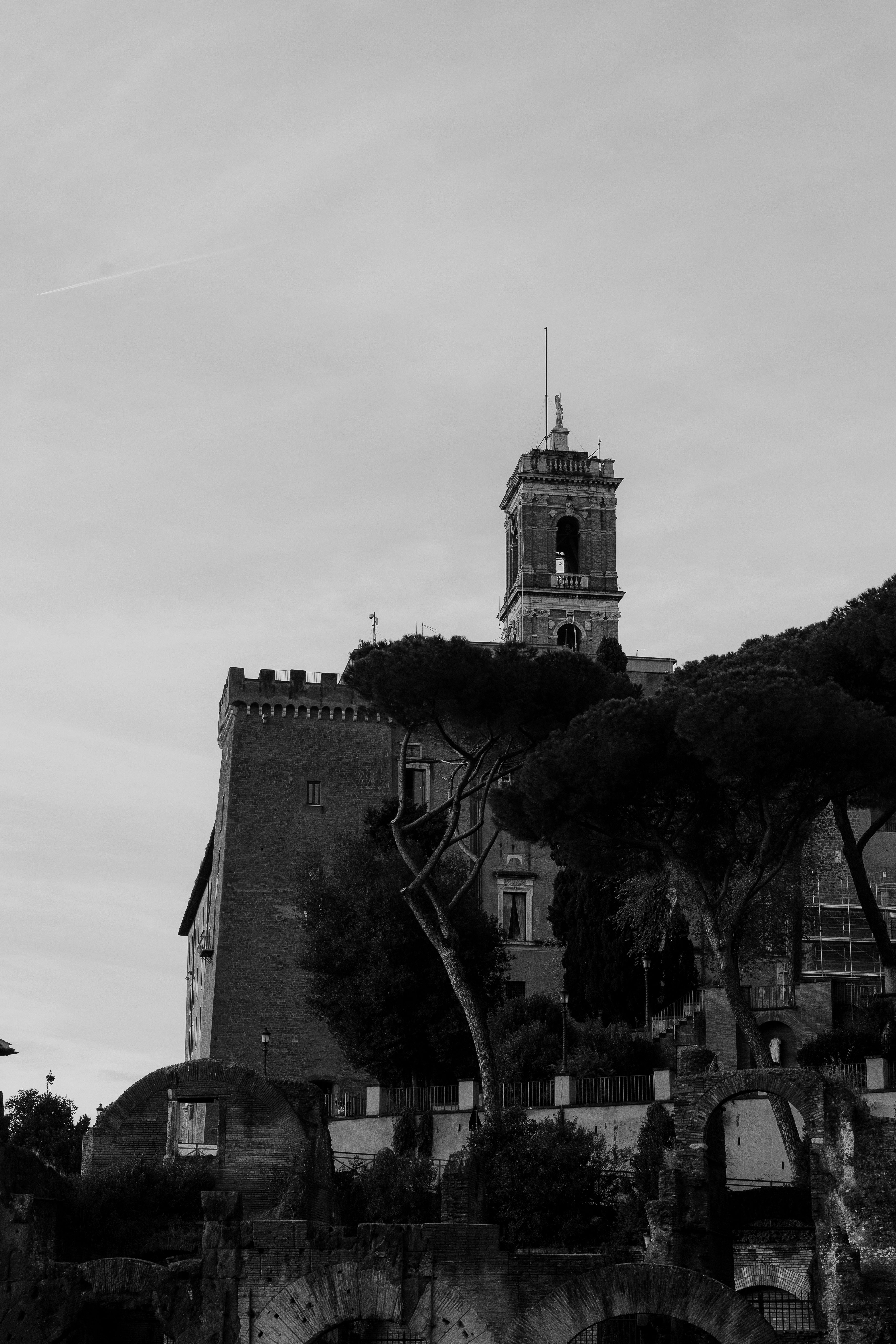Captivating black and white image of historic Roman architecture with distinctive trees.