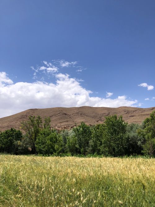 Free Peaceful rural landscape with hills, trees, and a grassy field under a clear blue sky. Stock Photo