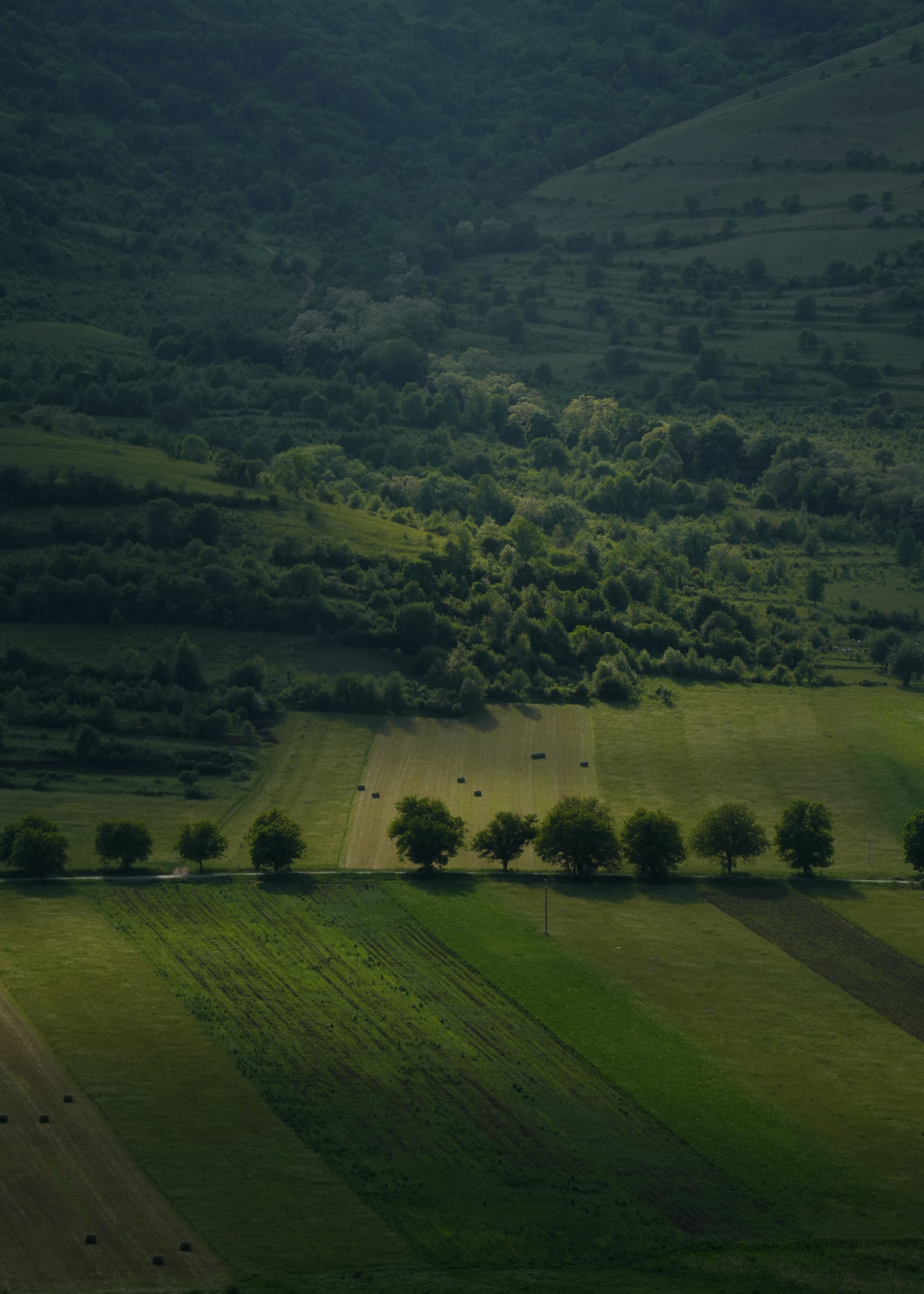 Aerial View of Lush Green Countryside Fields · Free Stock Photo