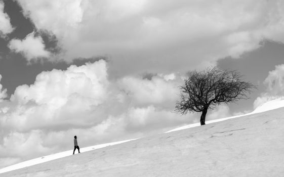 Black and white silhouette of a person walking on a snowy hill near a barren tree.