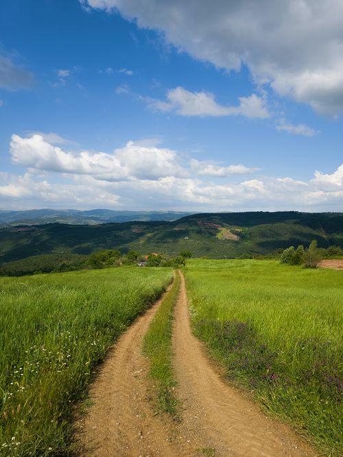 Free A picturesque dirt road through lush green fields against a mountainous backdrop under a blue sky. Stock Photo