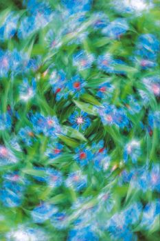 Vibrant abstract image of blue knapweed flowers in a swirling pattern.