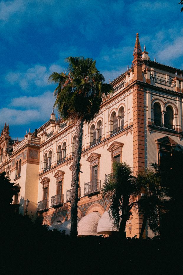 Historic architecture framed by palm trees in Seville, Spain — photo by Daka on Pexels