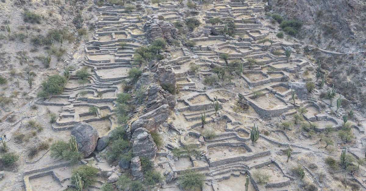 Los 12 descubrimientos arqueológicos que cambiaron la ciencia Los 12 descubrimientos arqueológicos que cambiaron la ciencia