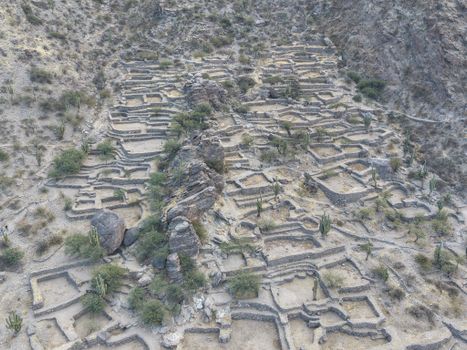 arqueólogos