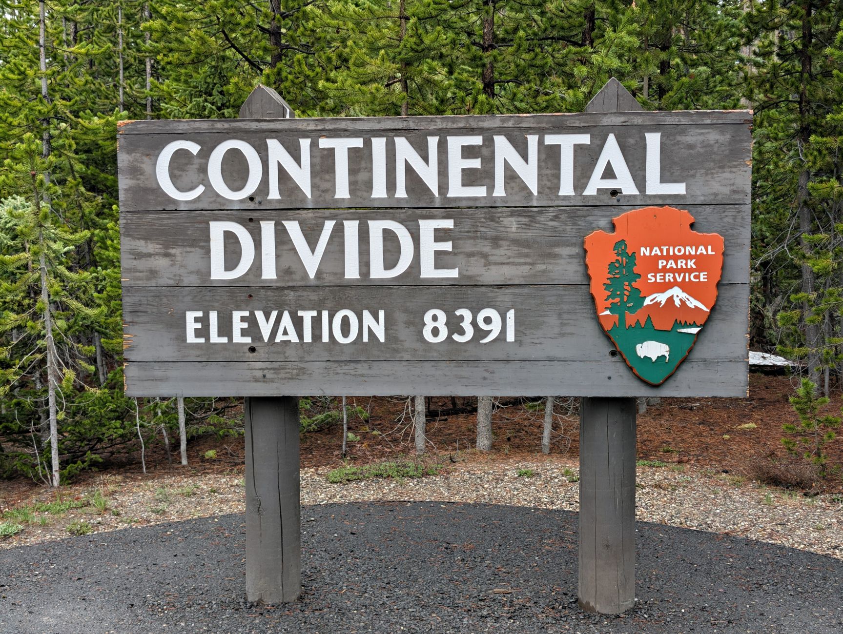 Sign marking the Continental Divide at elevation 8391 in a forest setting.