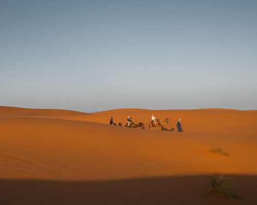 Free A group of people rides camels across the Sahara Desert under a clear sky, creating a tranquil scene. Stock Photo