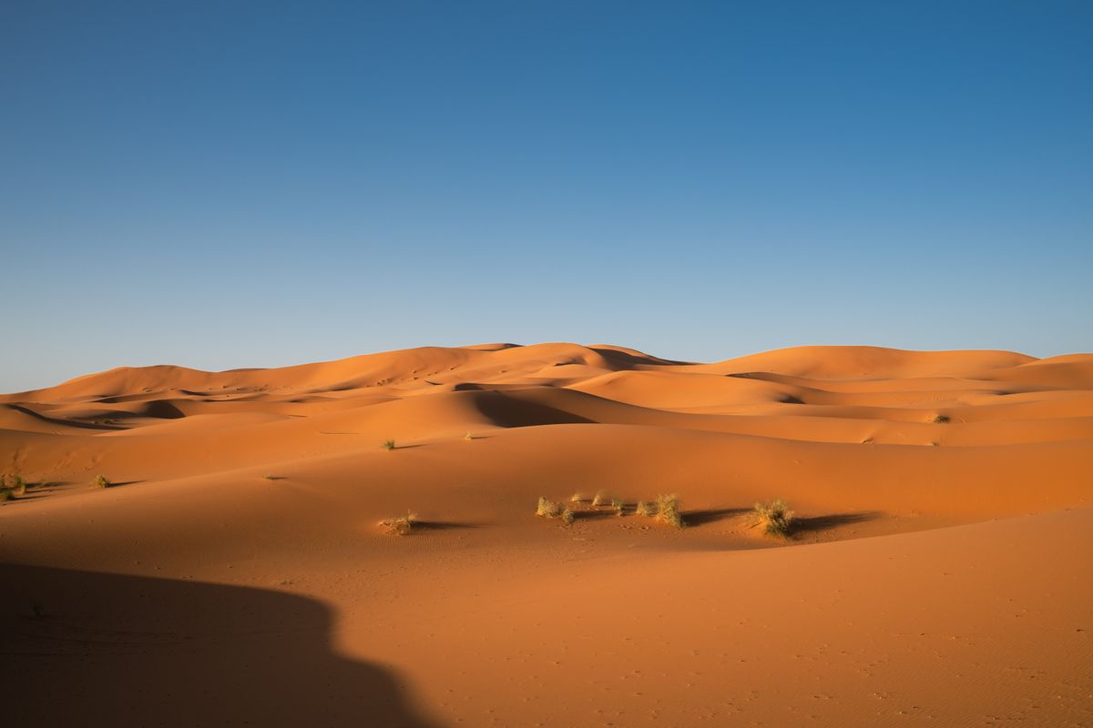 Golden Sand Dunes at Sunrise in Desert Landscape · Free Stock Photo