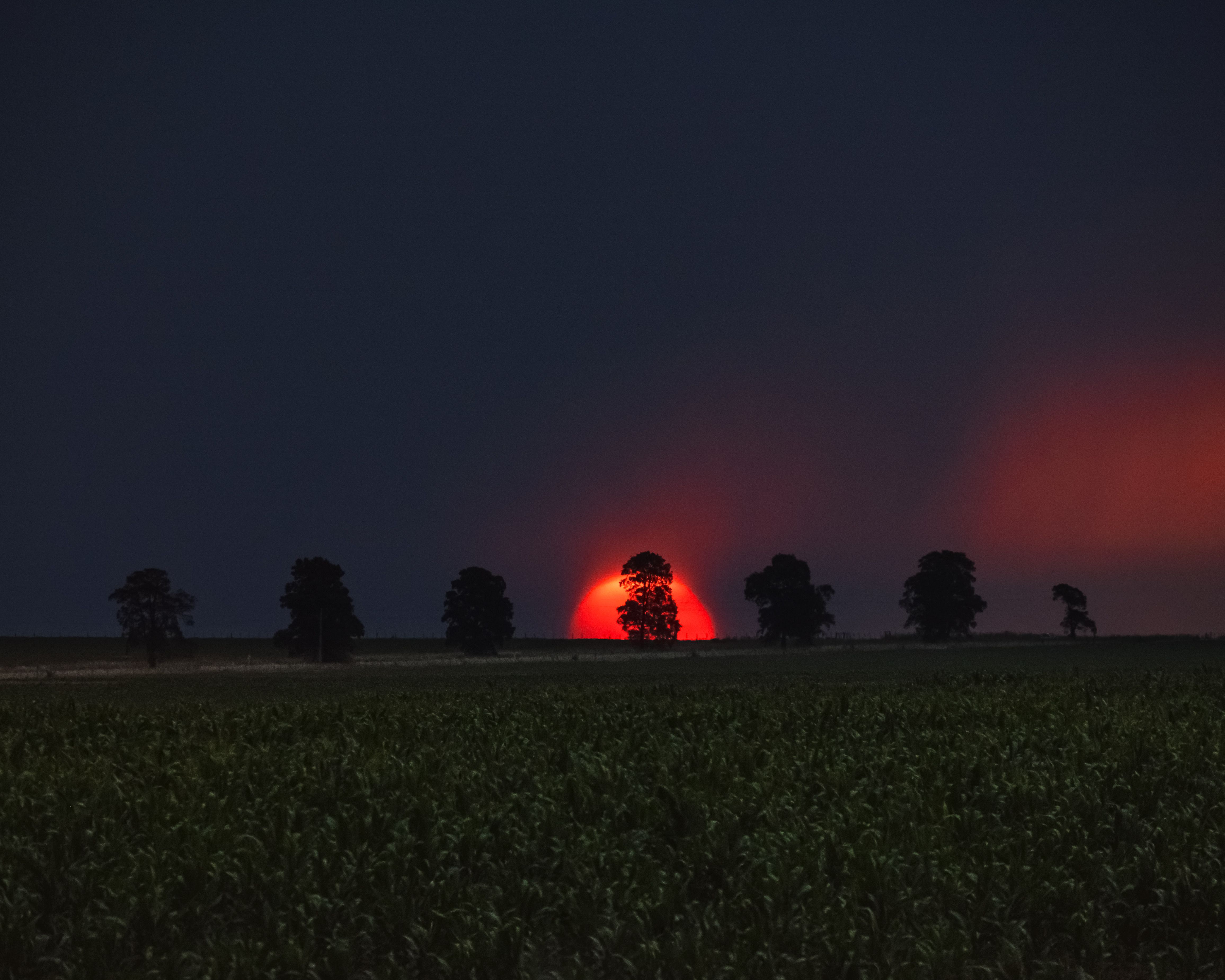 A striking red sunset over a rural field with silhouetted trees, capturing the serene beauty of nature.