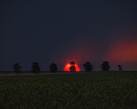 A striking red sunset over a rural field with silhouetted trees, capturing the serene beauty of nature.