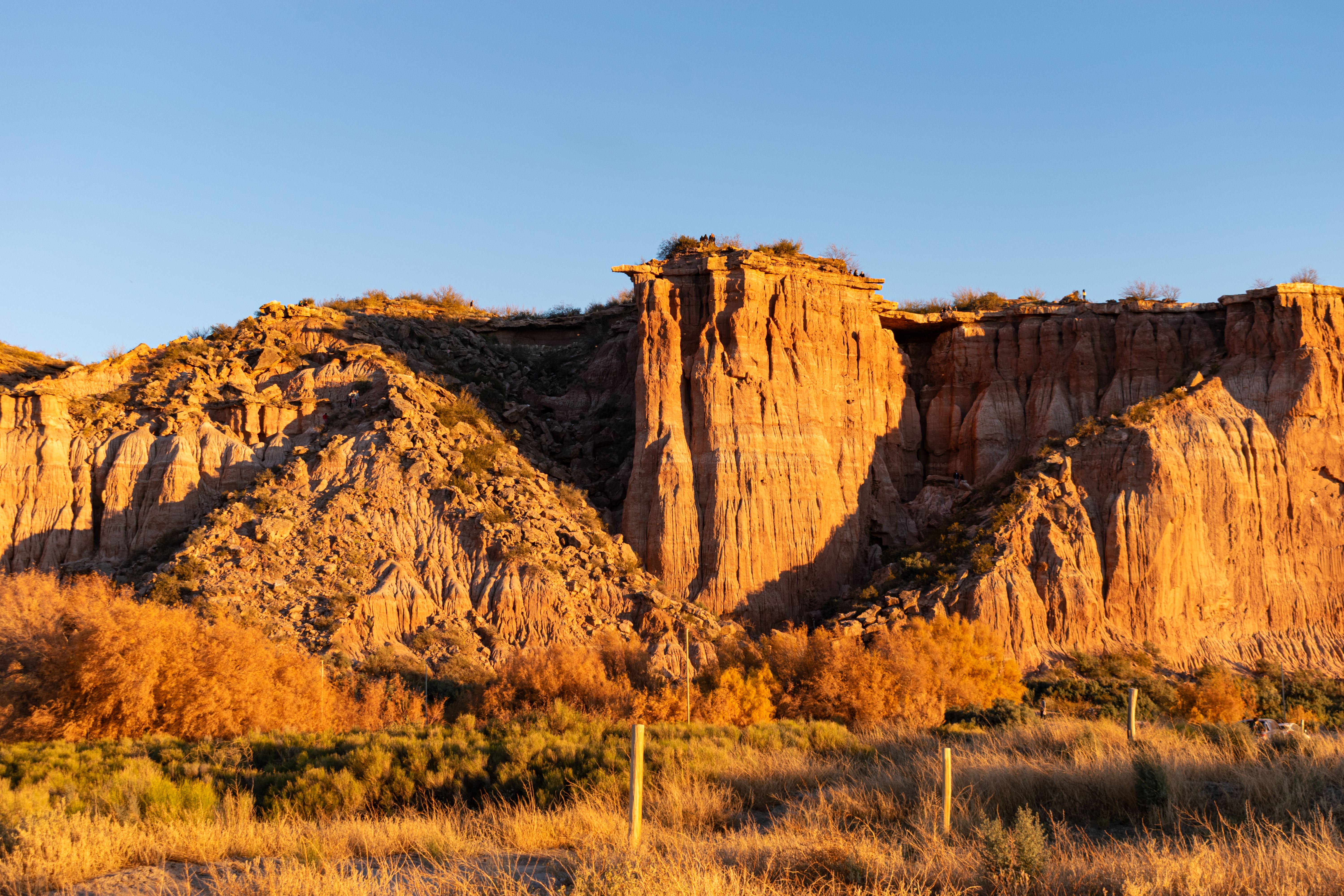 A Traveller's Guide to Gonarezhou National Park
