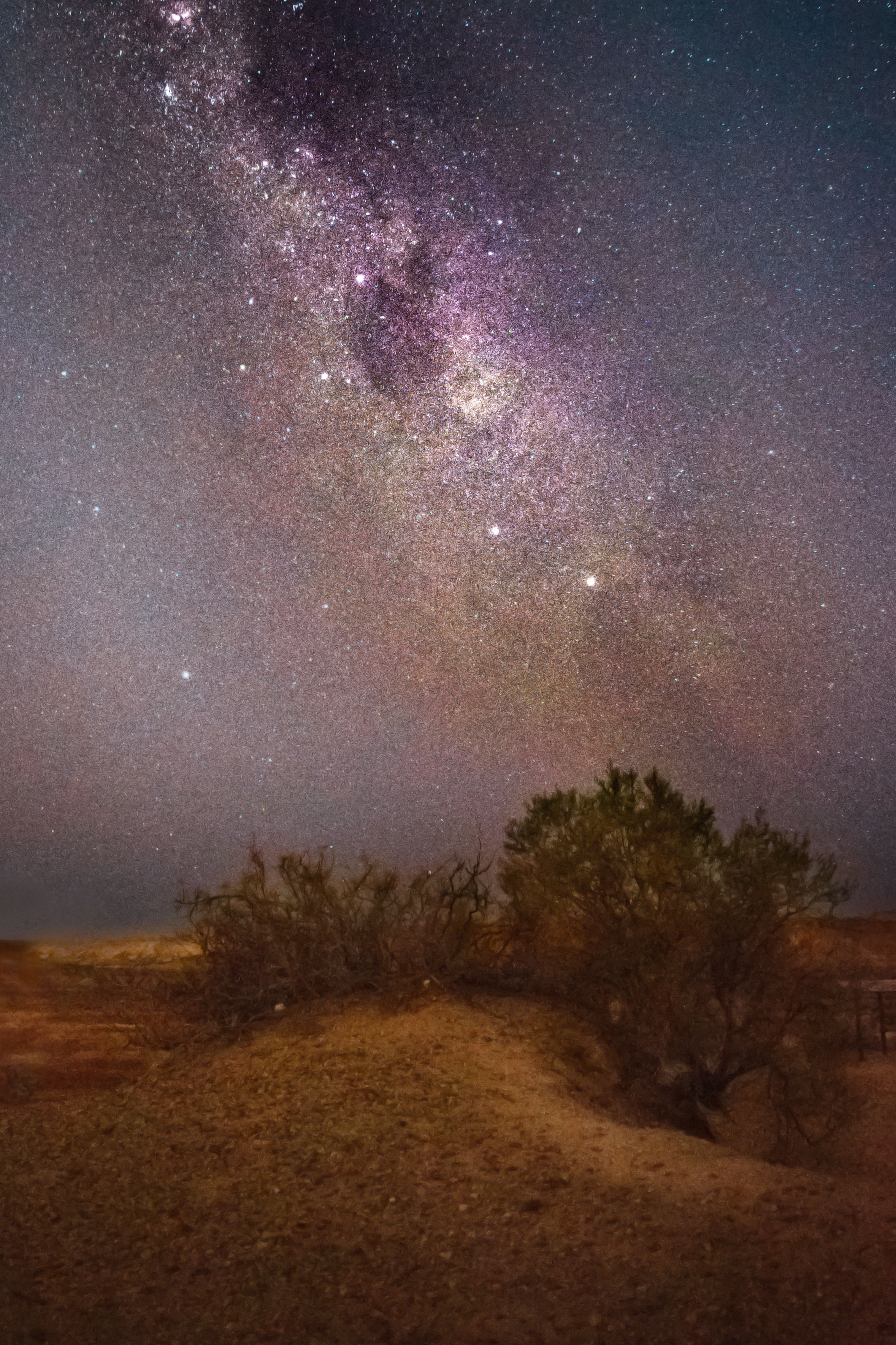 Desert Night Sky