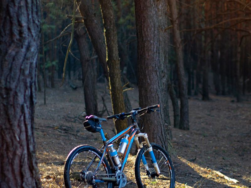 Mountain Bikes