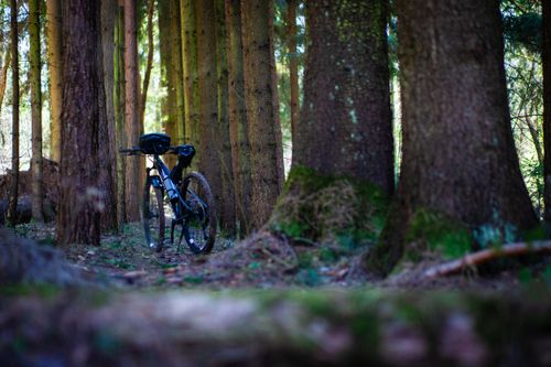 Free Mountain bike resting in a serene forest, surrounded by tall trees, creating a peaceful outdoor scene. Stock Photo