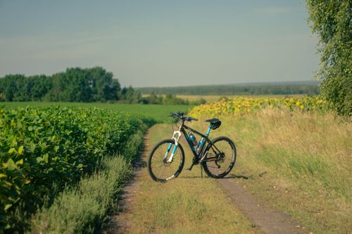 Free Mountain bike resting on rural trail amidst lush green fields during summer day. Stock Photo