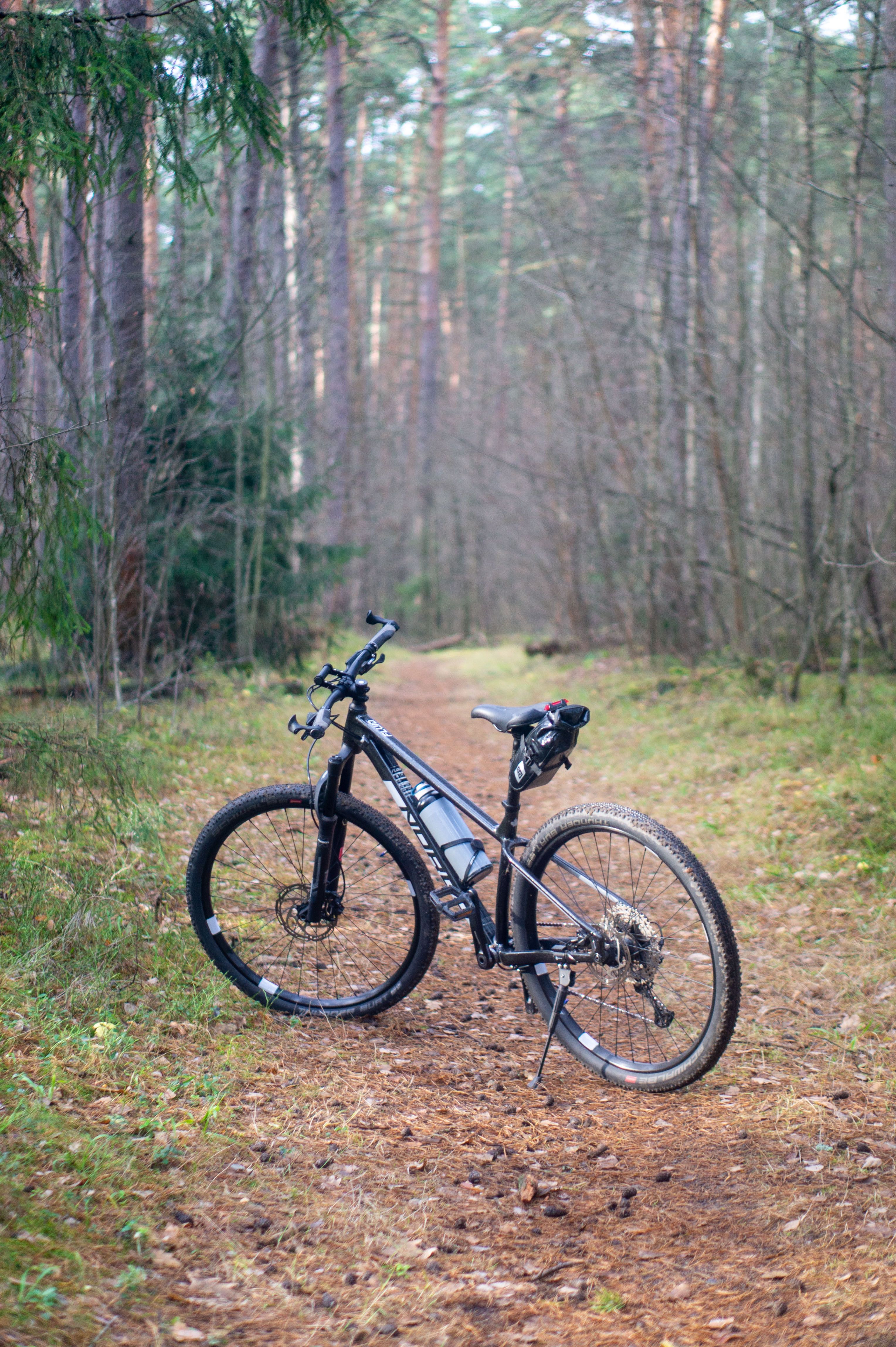 A mountain bike rests on a forest path amidst dense woodland trees.
