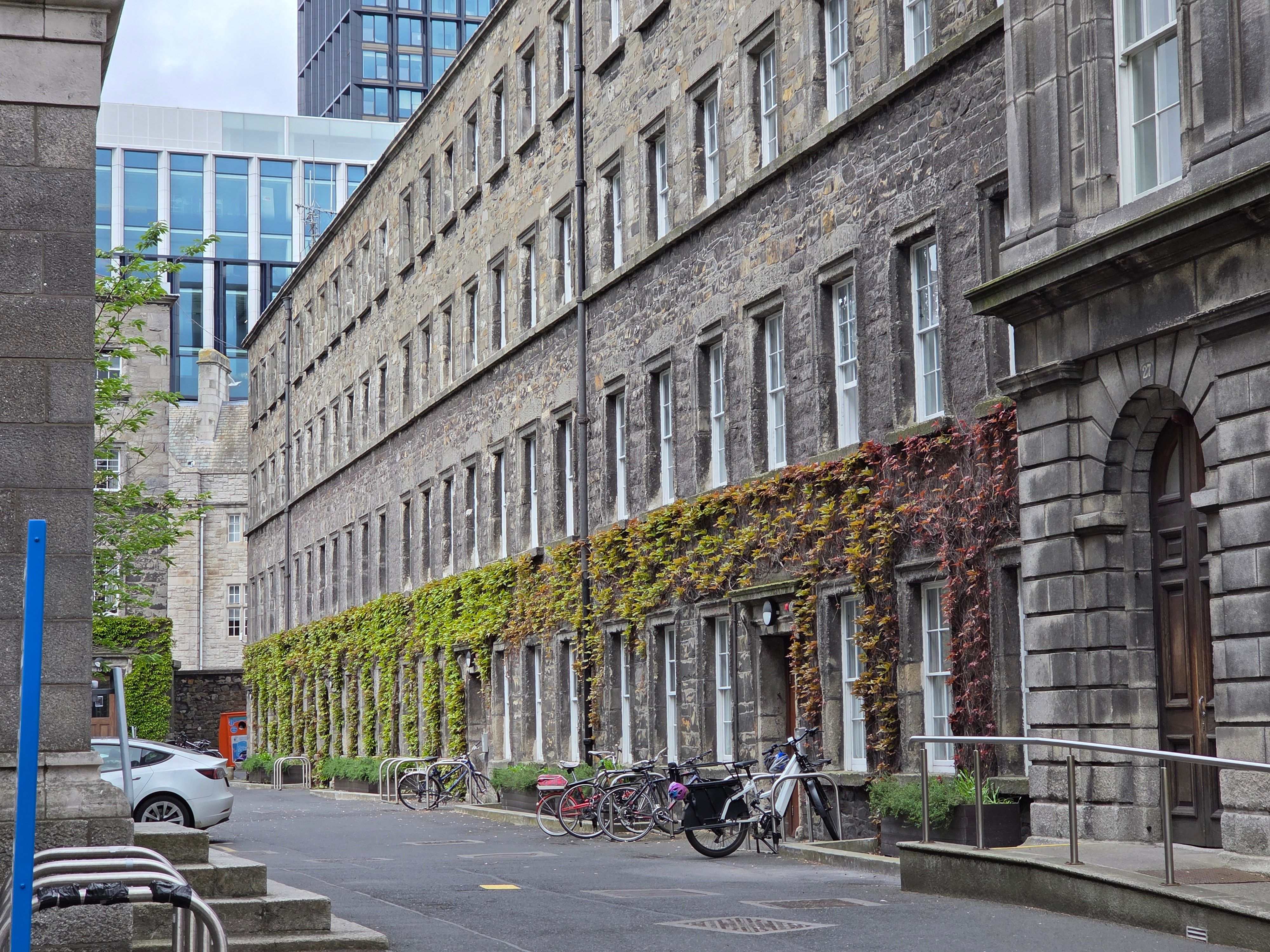 A historic building covered in ivy with bicycles parked outside in a modern city area.