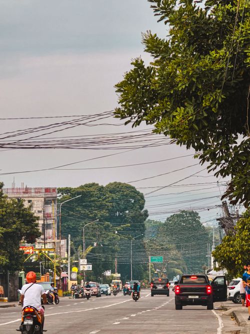 Free A bustling street in Dumaguete City with trees, vehicles, and power lines under a cloudy sky. Stock Photo