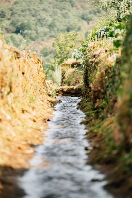 Free Calm stream flowing through natural surroundings in Montalegre, Portugal, showcasing rural landscapes and serenity. Stock Photo
