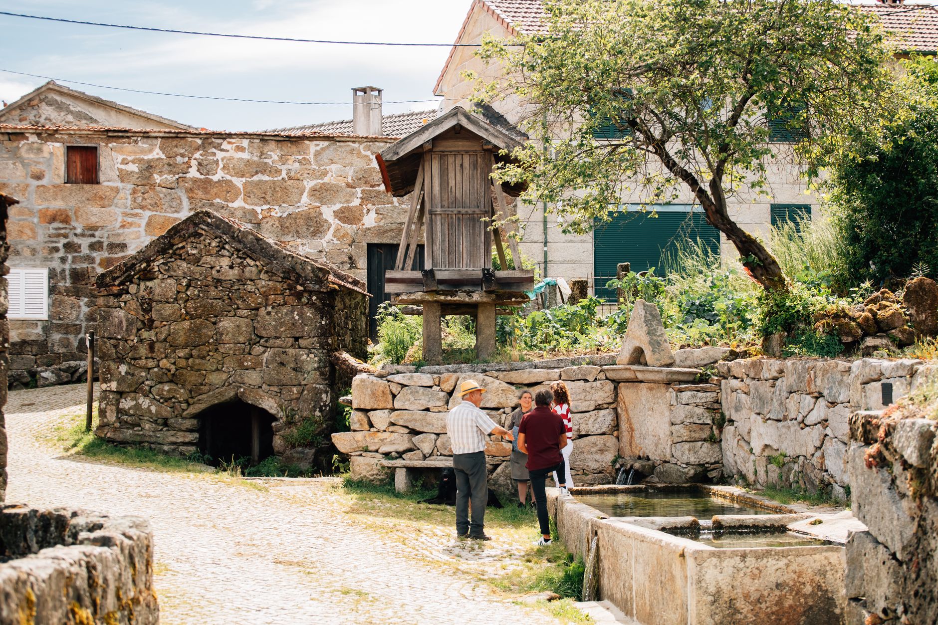 Vila Viçosa desenterra segredos de séculos: descobertos dois silos medievais no centro histórico