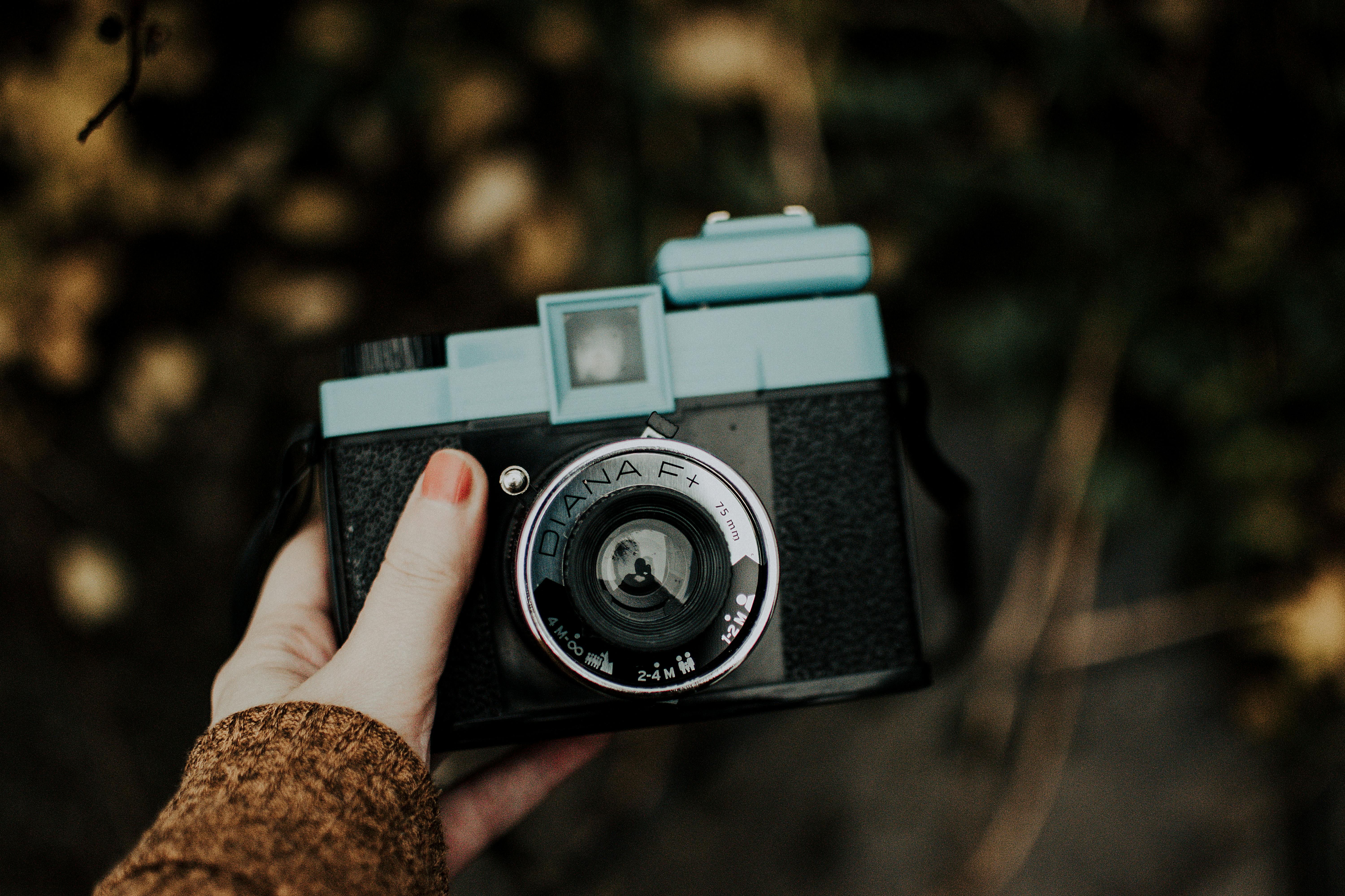 Free FOCUS Forum highlights importance of literacy in CNY education, civic life — Photo by Lisa from Pexels on Pexels