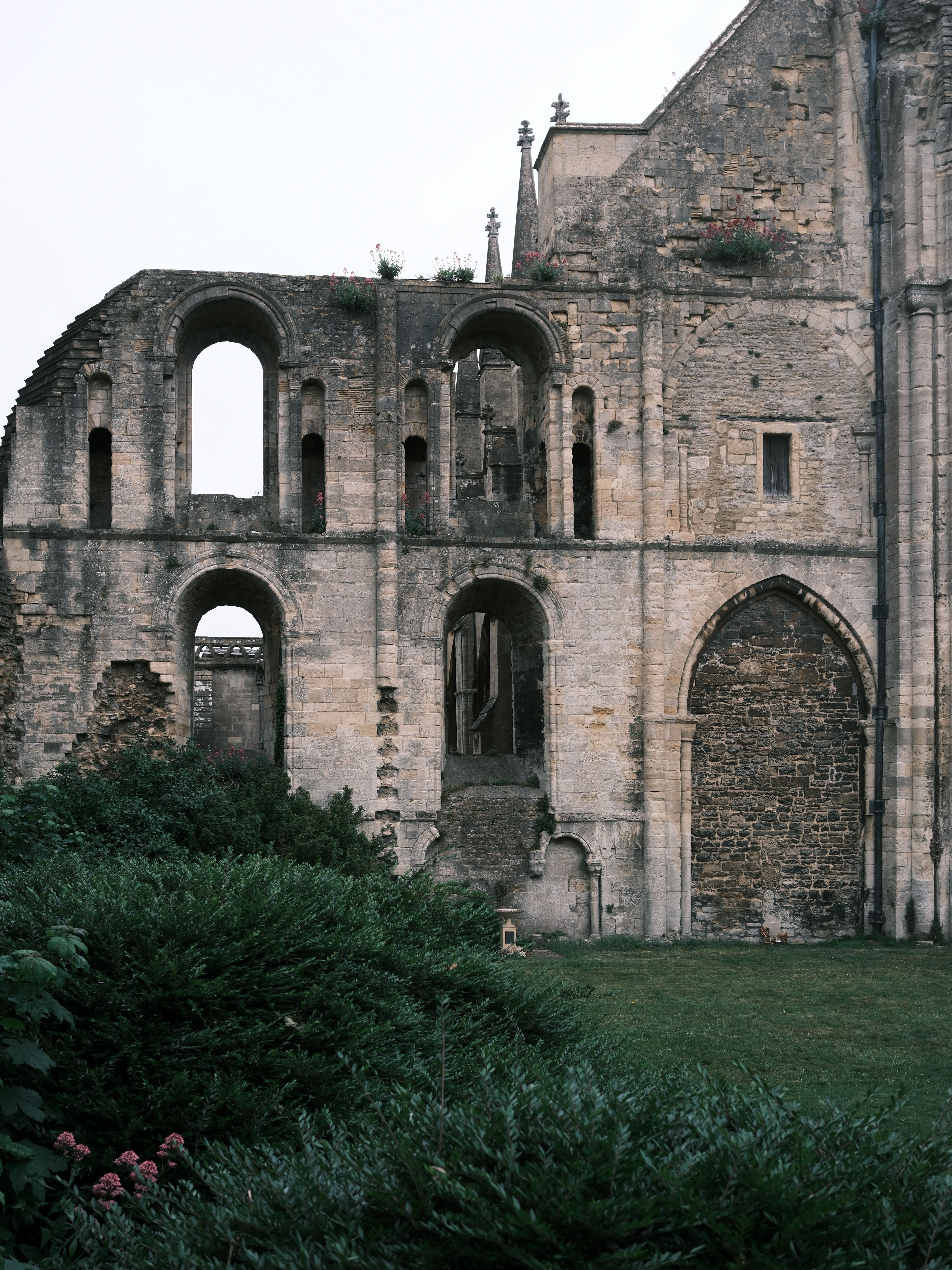 Ancient stone ruins of an abbey with lush greenery in Malmesbury, UK.