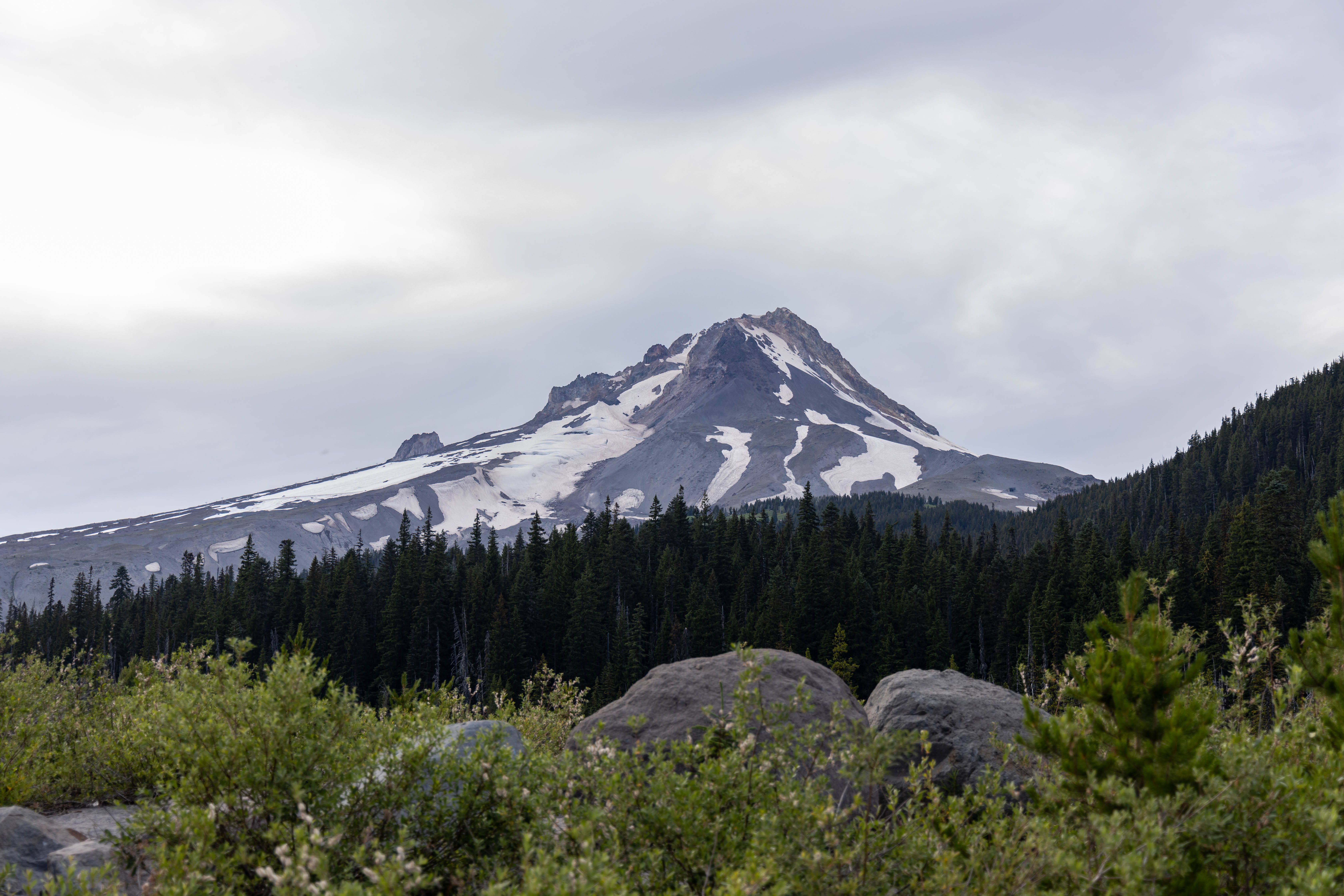 4 Day Plant Medicine Couple's Retreat in Ashland, Oregon 1